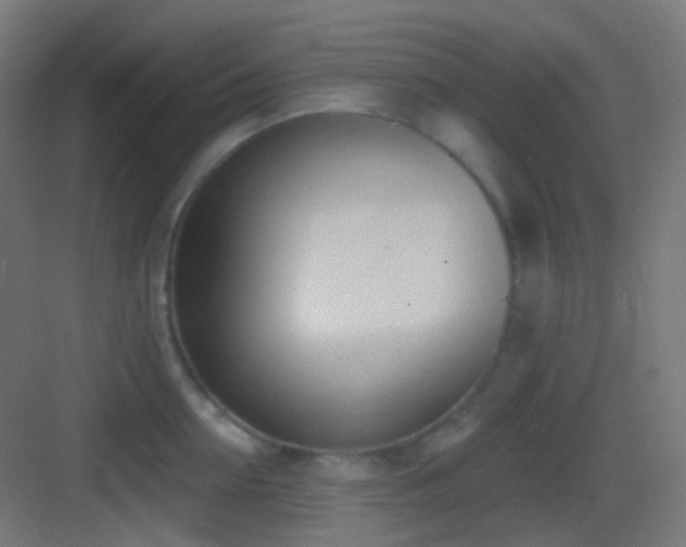 X0000083530954200702091003
