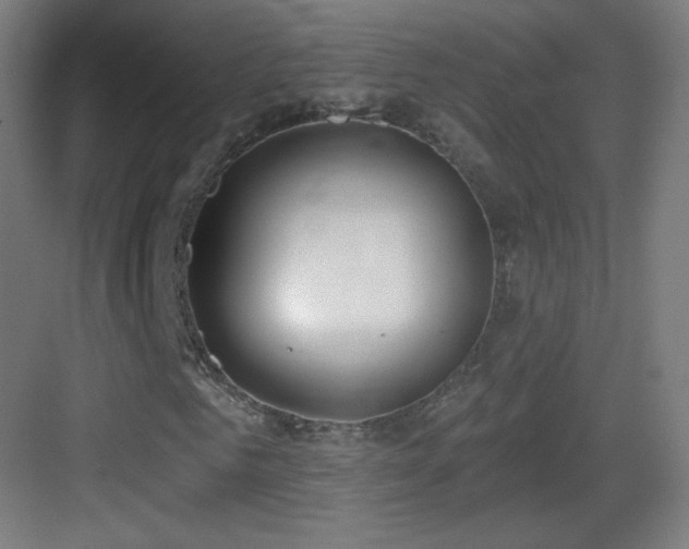 X0000083530961200702091002