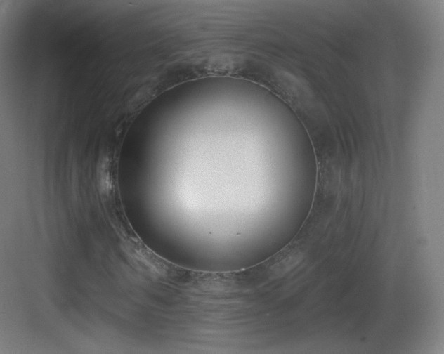 X0000083530962200702091002