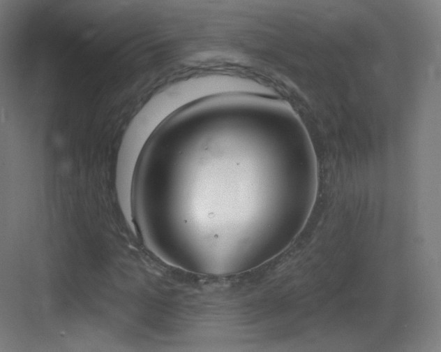 X0000083530965200702091002