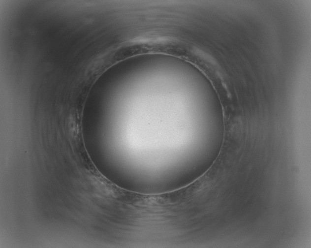 X0000083530966200702091002