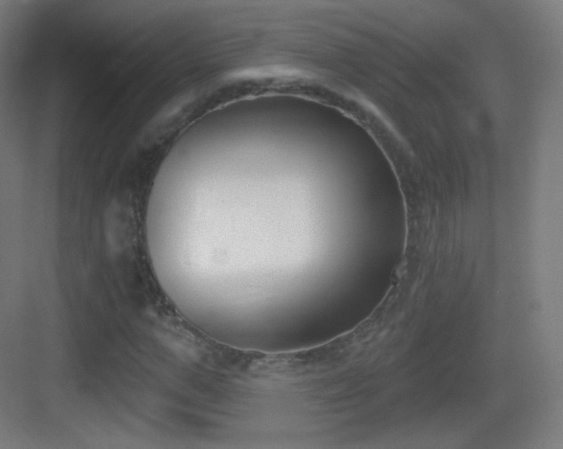 X0000083530967200702091002