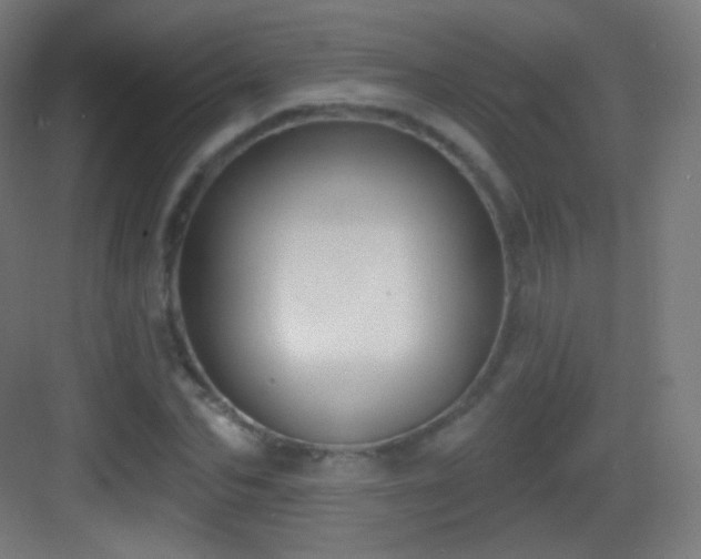 X0000083530974200702091002