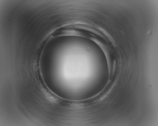 X0000083530977200702091002