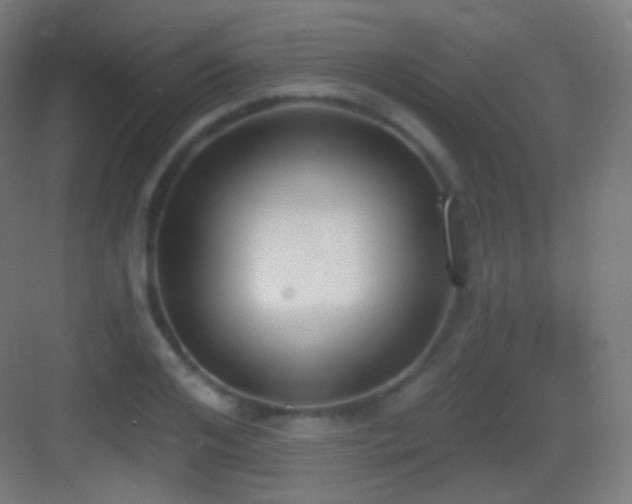 X0000083530984200702091002