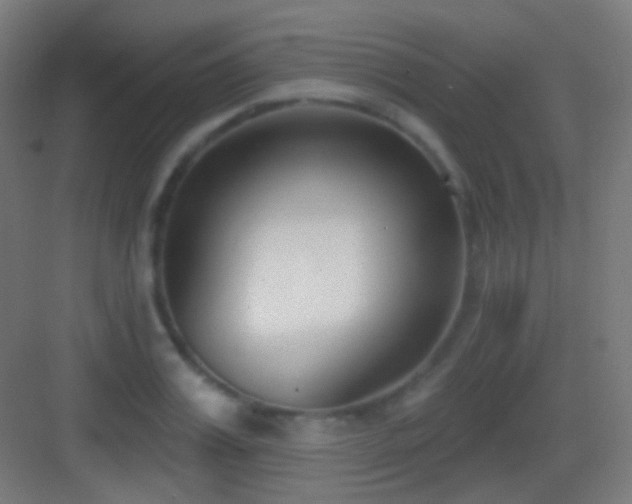 X0000083530987200702091002