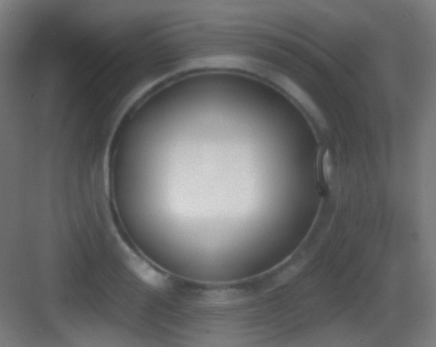 X0000083530988200702091002