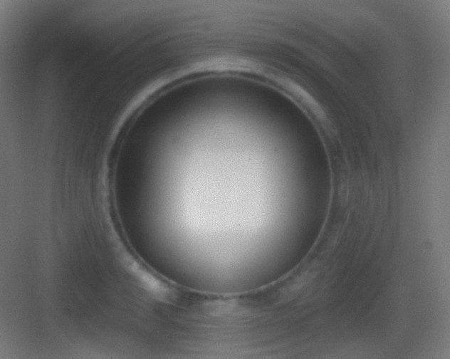 X0000083530990200702091002