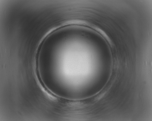 X0000083530999200702091001