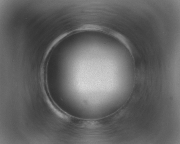 X0000083531003200702091001