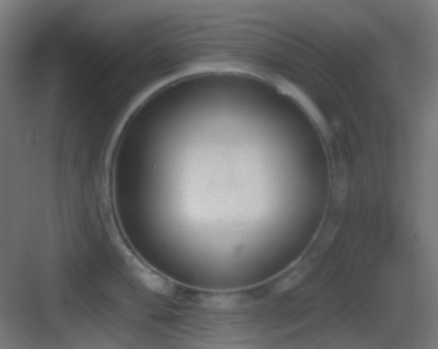 X0000083531004200702091001