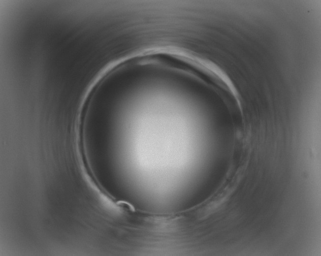 X0000083531005200702091001