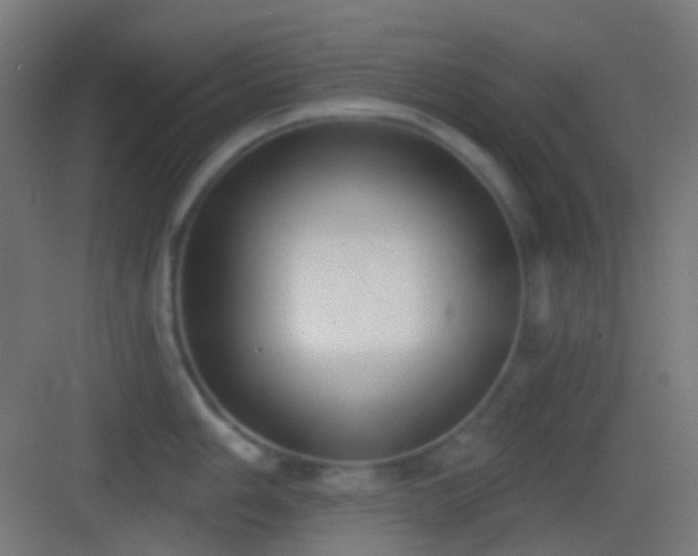 X0000083531006200702091001