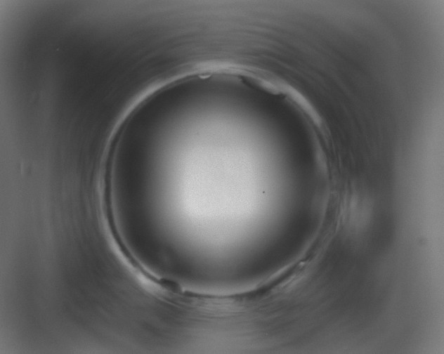 X0000083531007200702091001