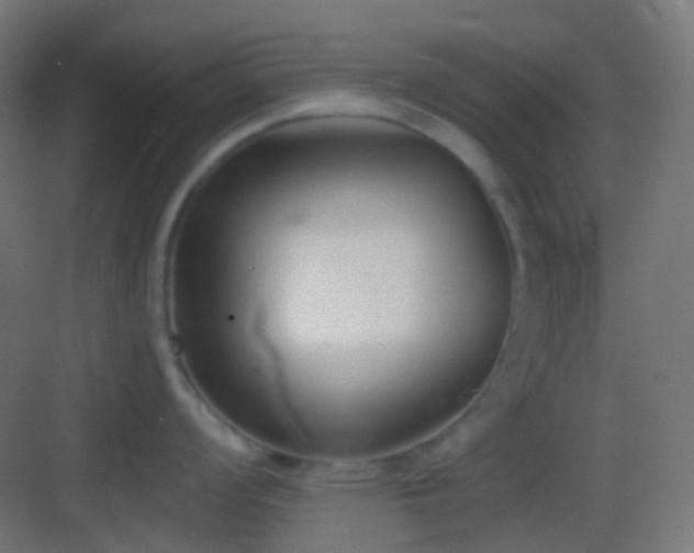 X0000083531008200702091001