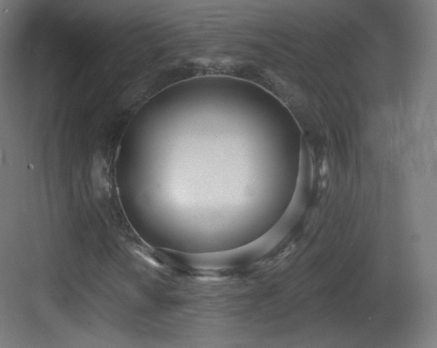 X0000083531010200702091001