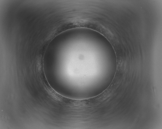 X0000083531012200702091001