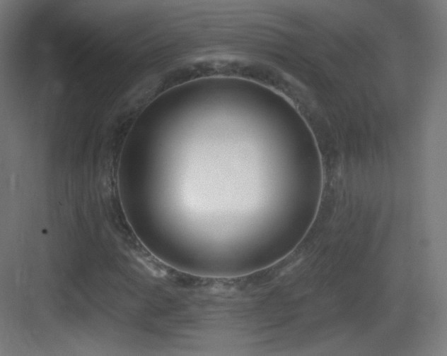X0000083531014200702091001