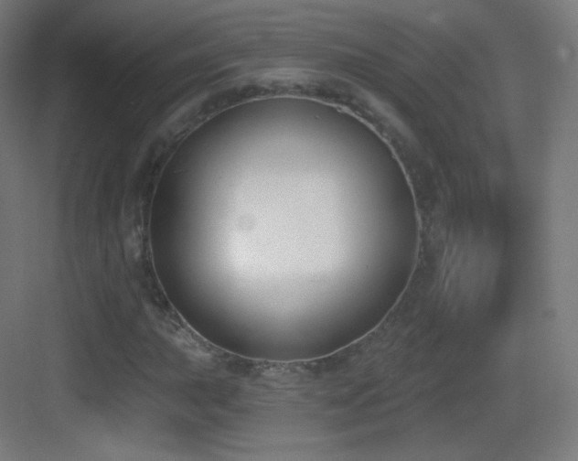 X0000083531015200702091001
