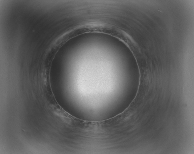 X0000083531016200702091001