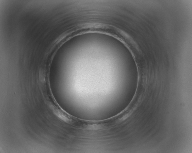 X0000083531017200702091001