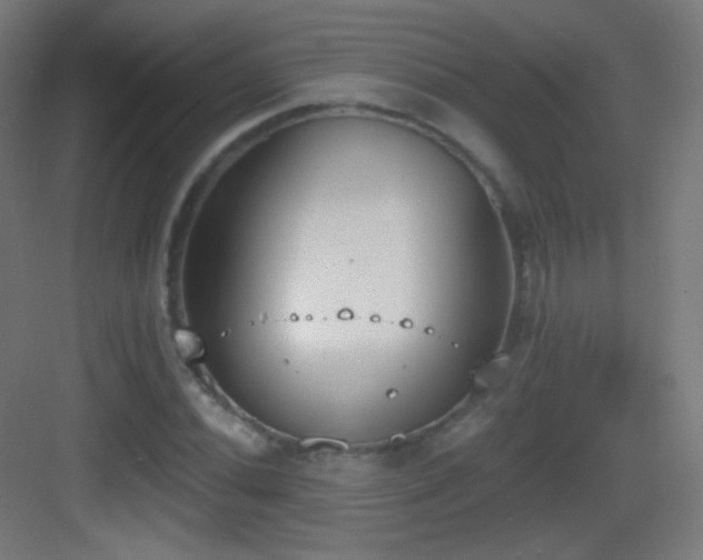 X0000083531020200702091001