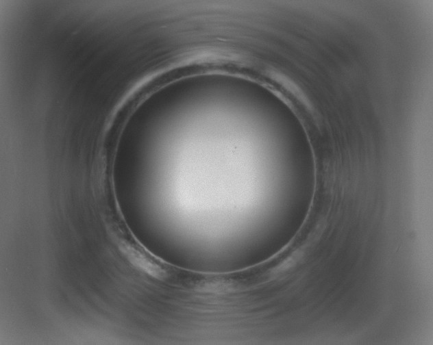 X0000083531021200702091001
