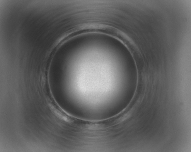 X0000083531025200702091001