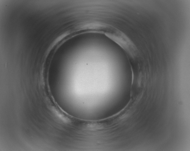 X0000083531026200702091001