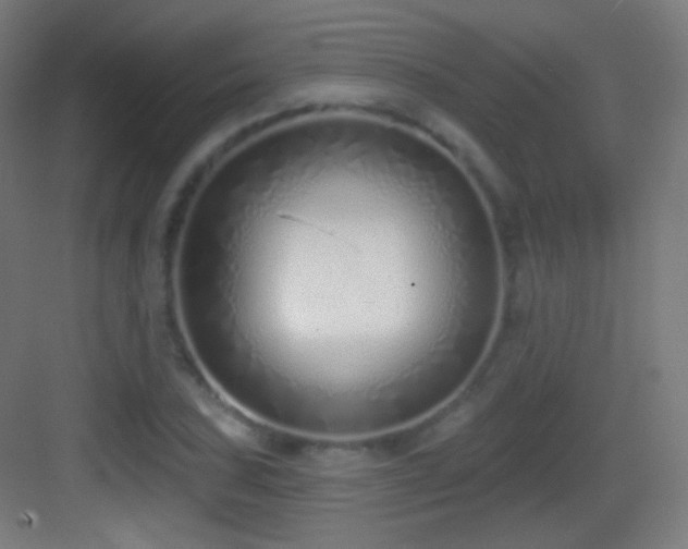 X0000083531027200702091001