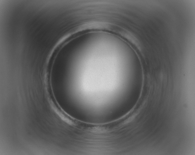 X0000083531029200702091001