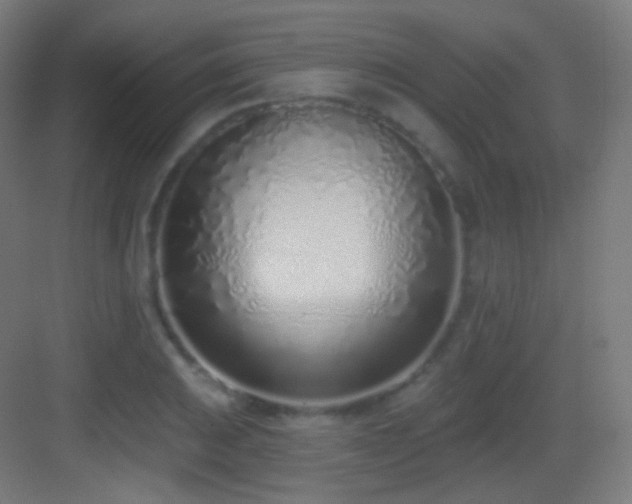 X0000083531031200702091001