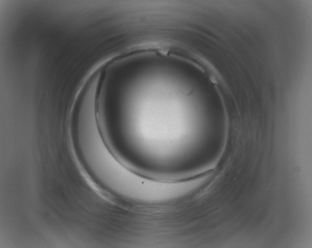 X0000083531034200702091001