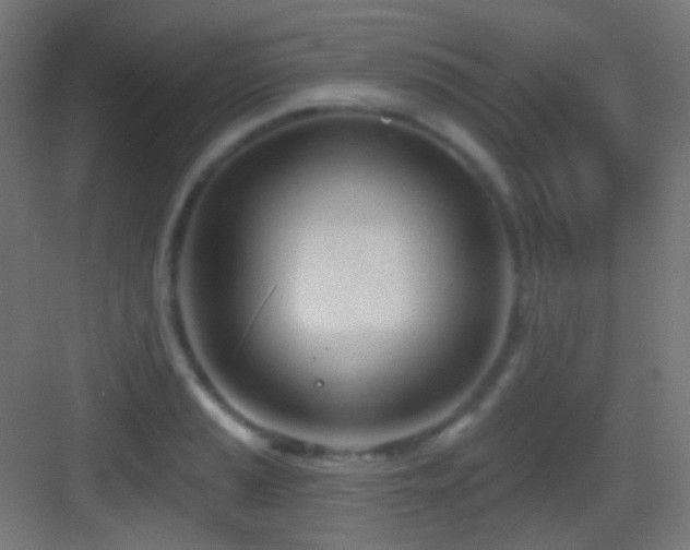 X0000083531037200702091001
