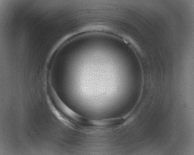 X0000083531038200702091001