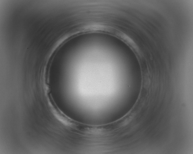 X0000083531039200702091001