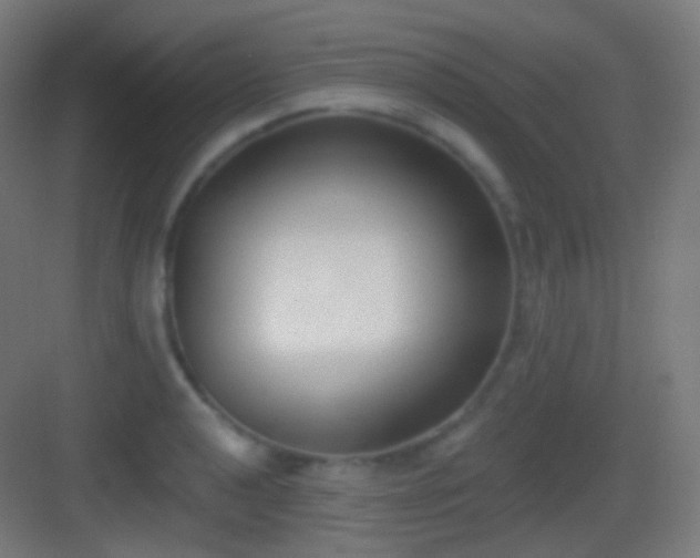 X0000083531040200702091001
