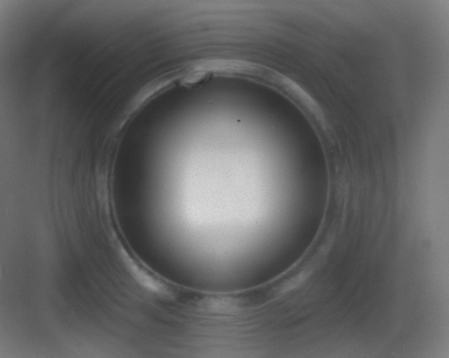 X0000083531041200702091001