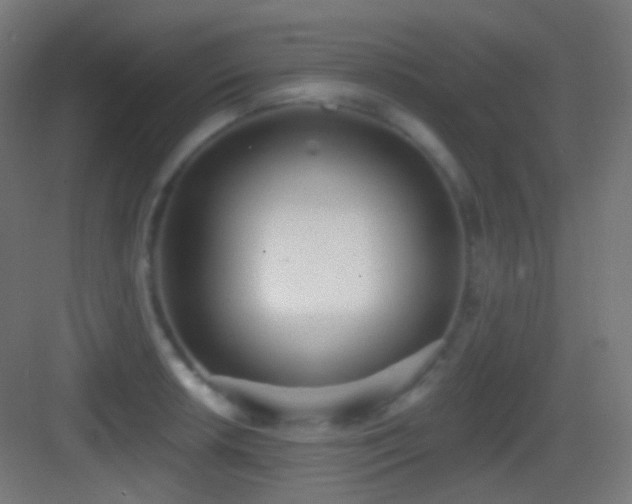 X0000083531042200702091001