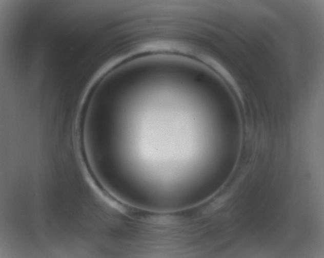 X0000083531045200702091001