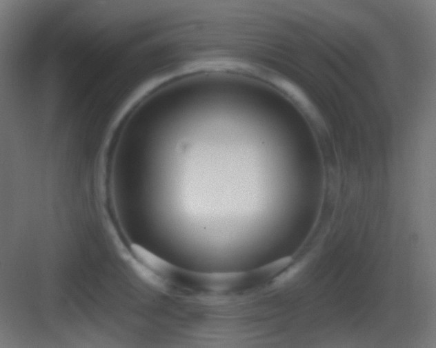 X0000083531046200702091001