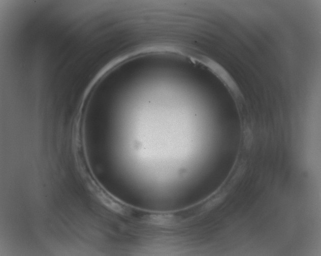 X0000083531052200702091001