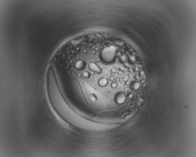 X0000083531055200702091001