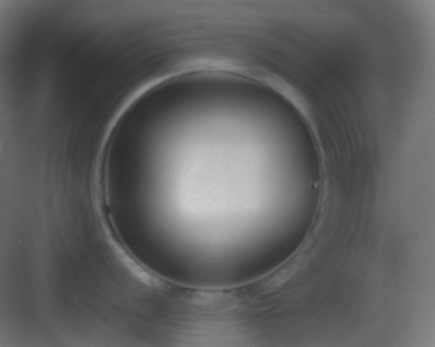 X0000083531056200702091001