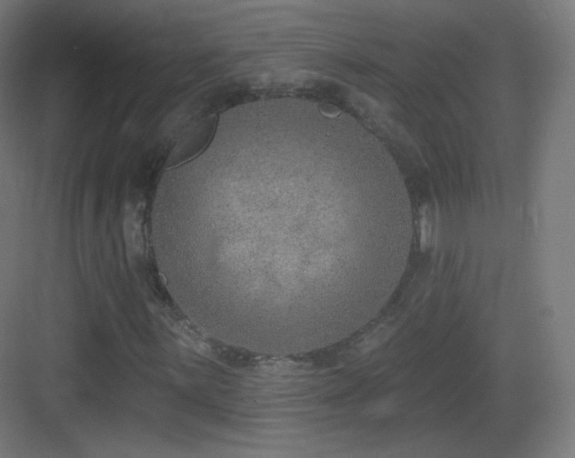 X0000083531059200702091000