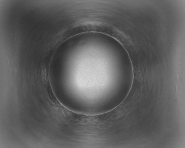 X0000083531061200702091000