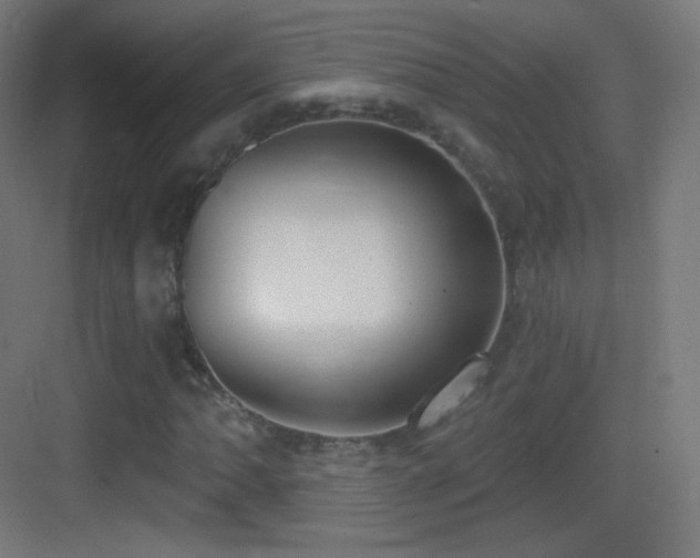 X0000083531062200702091000