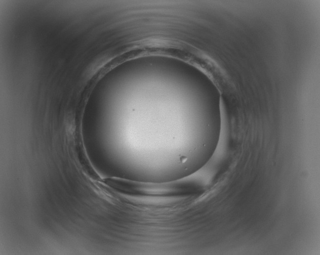 X0000083531065200702091000