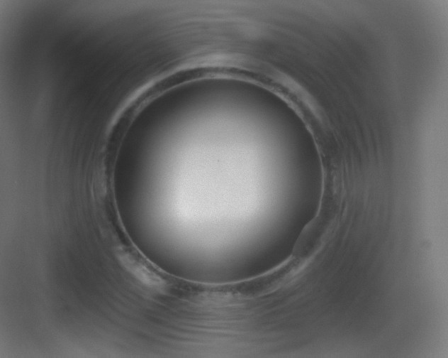 X0000083531069200702091000