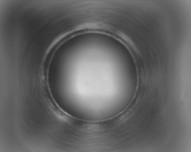 X0000083531070200702091000